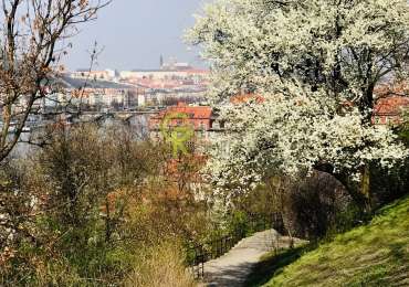 Pronájem stylového 1+1 po kompletní rekonstrukci – Na Výtoni, Praha 2