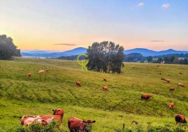 Unikátní roubenka s fungujícím ubytovacím konceptem a obytnou maringotkou - Jablonné v Podještědí
