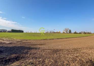 Exkluzivní prodej stavebního pozemku 11 770 m² – Předměřice nad Labem, Hradec Králové