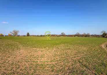Exkluzivní prodej stavebního pozemku 11 770 m² – Předměřice nad Labem, Hradec Králové