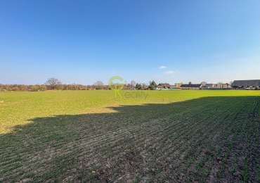 Exkluzivní prodej stavebního pozemku 11 770 m² – Předměřice nad Labem, Hradec Králové
